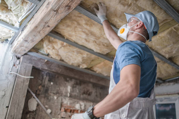 Best Insulation Maintenance and Repair in Comer, GA