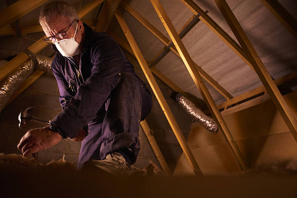 Types of Insulation We Offer in Comer, GA